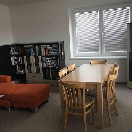 Family Apartment With Garden And Parking Spot Ceske Budejovice Kültér fotó