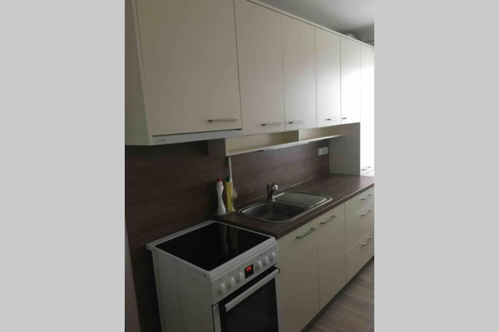 Family Apartment With Garden And Parking Spot Ceske Budejovice Kültér fotó